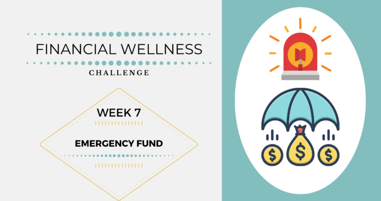 Financial Wellness Challenges – Week 7: Emergency Fund